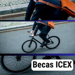 Becas ICEX de Internacionalización Empresarial